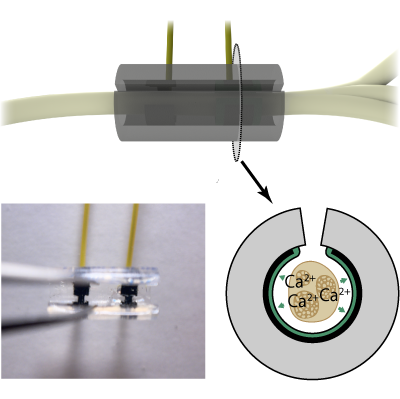 Distributed haptics